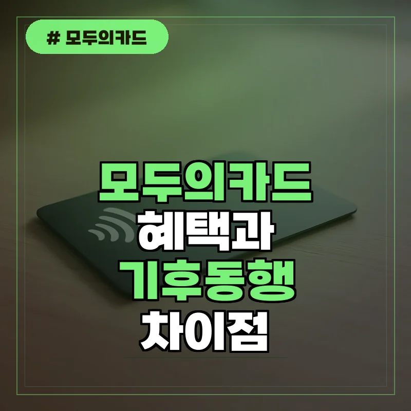 모두의카드란? 혜택과 종류, 기후동행카드 차이점 완벽 정리