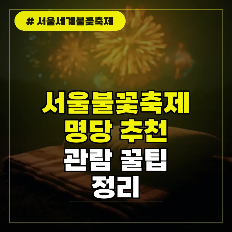 서울세계불꽃축제 명당 추천 및 한강공원 관람 꿀팁