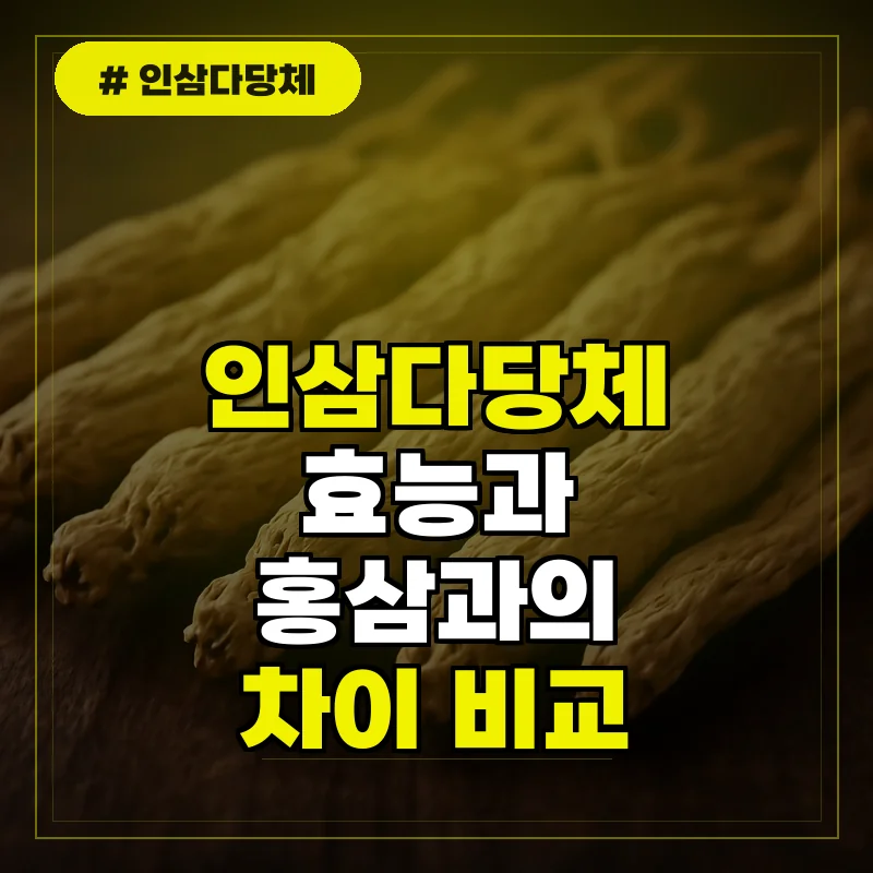 인삼다당체 효능과 홍삼과의 차이점 완벽 비교