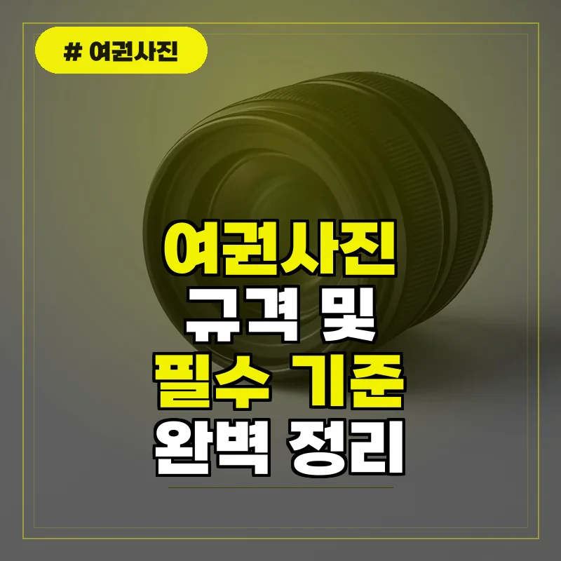 여권사진 규격 및 필수 요건 완벽 정리